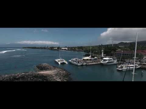 Ich male dieses Bild für uns! [Zate feat. Ced - Dieses Bild] Official Lyricvideo