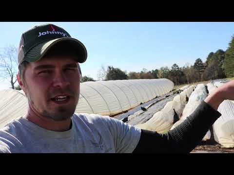 Preparing The Gardens for Winter | Before & After (20 Degrees)