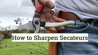 How to sharpen secateurs
