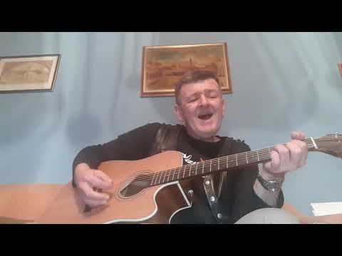 Zoki Dozer -Žuta ruža