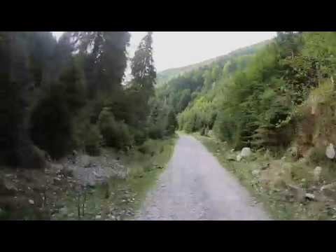 Drumul forestier dintre Cabana Cuca și Cabana Voina.