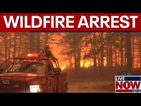 Video | BREAKING: Teen sparked massive NJ wildfire, officials say