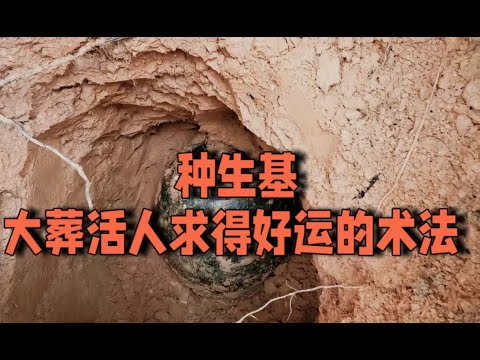 種生基