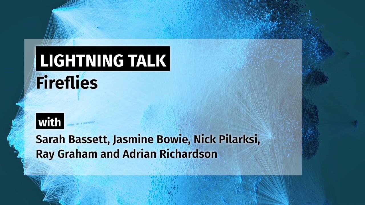 Collective Wisdom Symposium: Lightning Talk, Fireflies