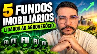 5 FIIS DO AGRONEGÓCIO PARA TER EM SUA CARTEIRA