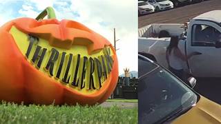 Draper pumpkin patch scrambles to redo thousands of hours of work after laptop is stolen