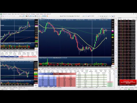 Palinha do Palex - dia 17 Janeiro 2019 - Tarde