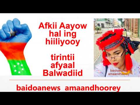 FADUMO IIMAAN FANAANAD COD MACAAN HEES MAAY CUSUB  -  AFKII AAYOW HAL ING HIILIYOOW