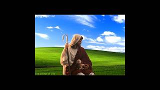 "Eu Sou o Bom Pastor, Conheço as Minhas Ovelhas" | #JesusCristo #Cristianismo #shorts
