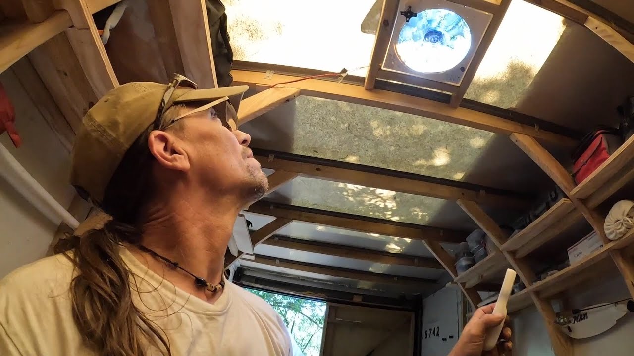 Workshop 021 Dang Squirrels