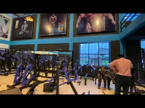 Shrugs Squat Lunge, For Gym, Model Name/Number: Gch 1021 at