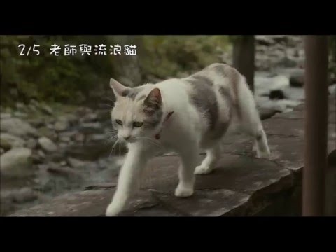 2/5【老師與流浪貓】中文預告