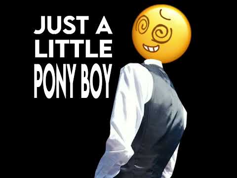 PONYBOY