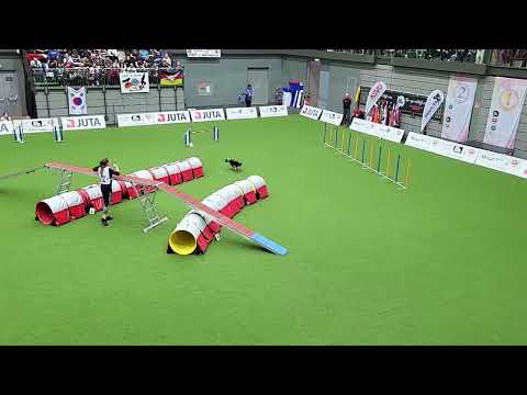 LEE Gerda Zemaityte LTU Agility Large Individual FCI AWC 2022