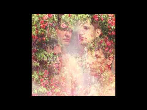 Starfucker - While I'm Alive