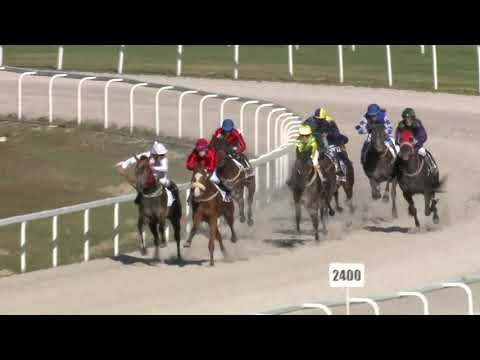 2021.05.09. 07. futam - NÉMETH FERENC EMLÉKKUPA I. FUTAMA HENDIKEP (V.o.)(szintetikuspálya)