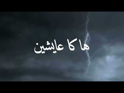 SPEDRO - HAKA 3AYCHIN (Officiel Audio)