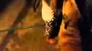 Ben's first night of Freedom