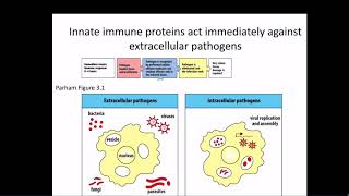 Immunology Fall 2019 Lecture 3: Antimicrobial Peptides and Complement