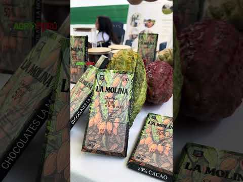 🍫 SABORES AMAZÓNICOS DESDE SATIPO 🌴