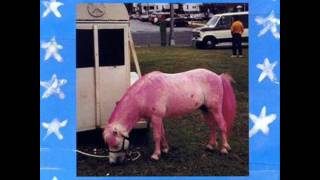 East River Pipe - Bring on the loser