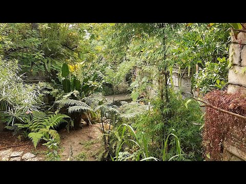 The Butterfly Temple, Wildlands, Emmen, the Netherlands
