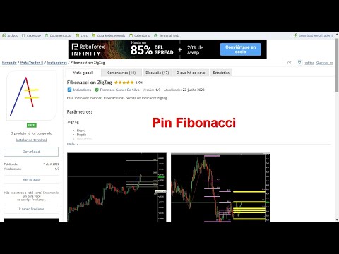 Video Fibonacci on ZigZag