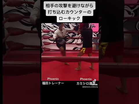 前蹴り対策上級者編、前蹴りのカウンターで撃ち込む軸足へのローキック