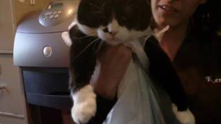 The Clark and Pumpy Show2 - Taylor's VMA Speech