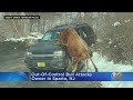 Bull Attacks Owner In New Jersey