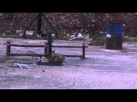 استهداف مقرات تنظيم داعش في الفوج 46 بصواريخ محلية الصنع من قبل لواء أحباب الله في ريف حلب