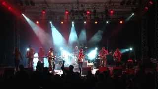 The Black Seeds - Loose Cartilage (Live)