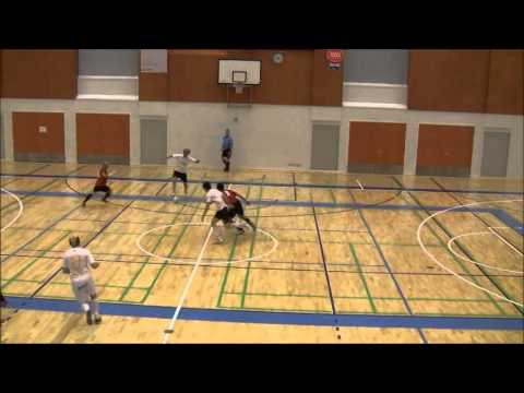 LoPS-LiePa  26.10.2012 kooste