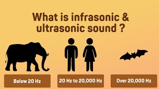 CBSE | Std 8 | Physics| Ch 13 | Infrasonic & Ultrasonic Sound