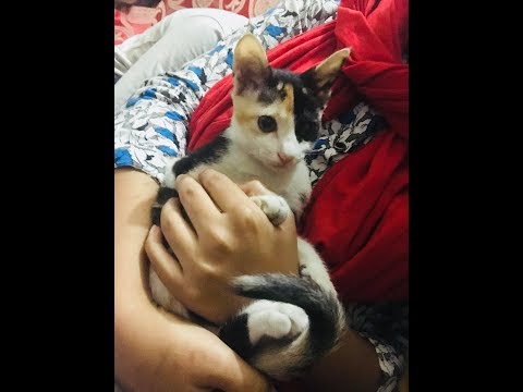 VuTu Is FiGtHing....