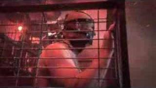 Die Apokalyptischen Reiter -  Seemann