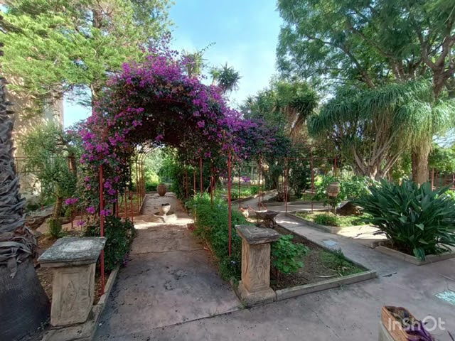 7 Vani con terrazzo e posto auto - Zona Acqua dei corsari