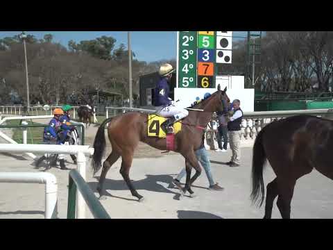 221001 c02 ONOMASTICA