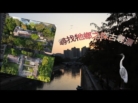 [戶外好去處]尋找鳥兒的故事之探古尋源- 舊北區理民府 Old District Office North #4K #航拍 #古蹟 #運頭角里 #大埔好去處 #DJI #綠匯學苑  #GreenHub