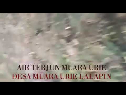 Air terjun muara uri