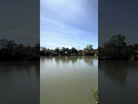 Rio Carreiro, em Serafina Corrêa, visto do Camping Carreiro.#rio #riograndedosul #serafinacorrea