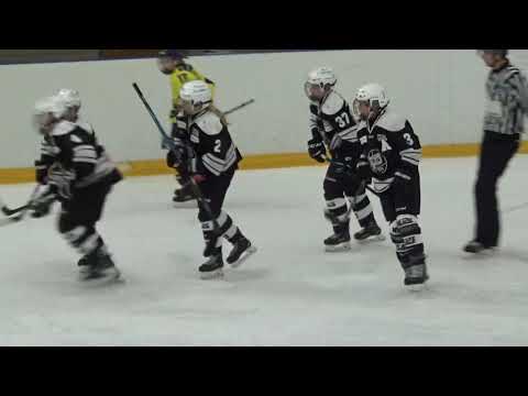 TPS Kojot vs. Lukko 3.2.2019 ensimmäinen erä