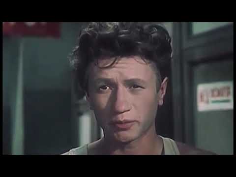 Трейлеры Добровольцы