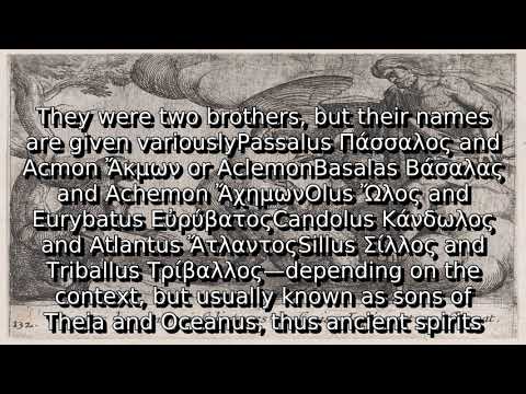 Learn about cercopes | what is acmon