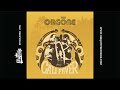 Orgone: The Only One