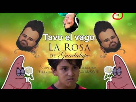 La rosa de guadalupe con memes tavo el vago ||the storm yt ._.