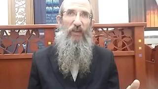 הרב ברוך וילהלם  - פרשת שופטים