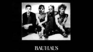 Bauhaus- Spirit in the sky