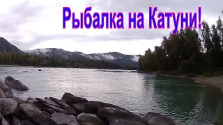 Рыбалка на реке катунь осенью