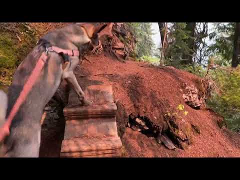 The Bisaro Cave & Canyon